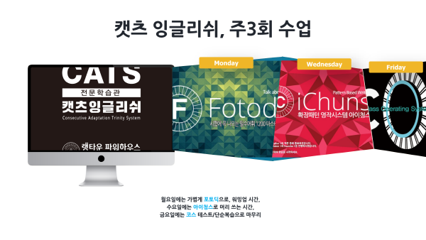 캣츠 잉글리쉬 패키지